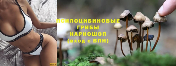 дурь Алзамай