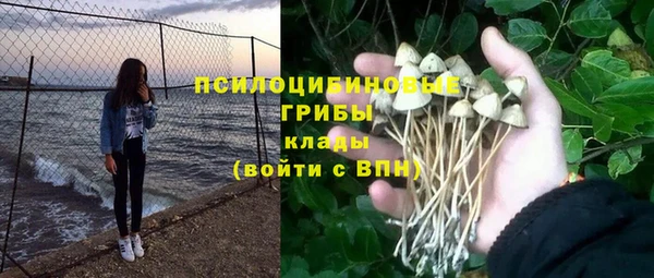 дурь Алзамай