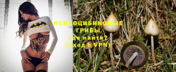 дурь Алзамай