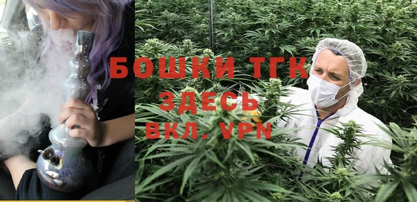 дурь Алексеевка