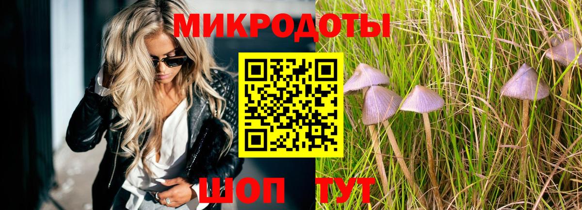 Галлюциногенные грибы мицелий Луга